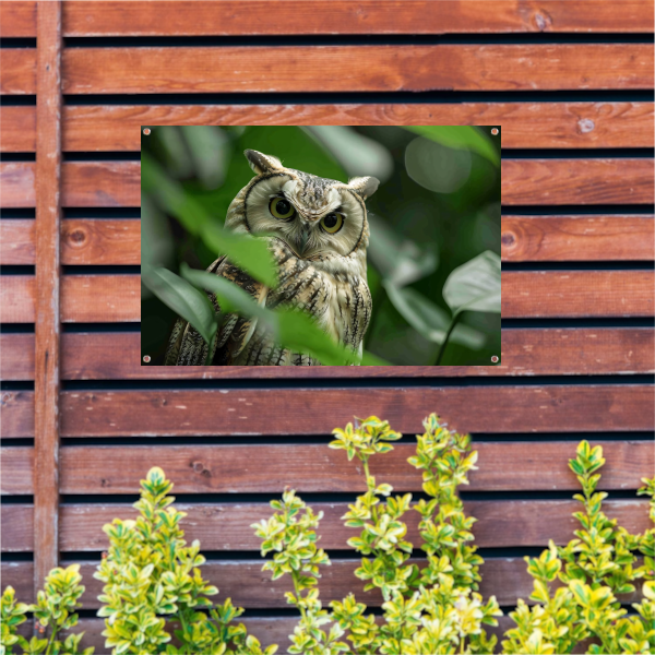 Uil tussen het groen van de jungle tuinposter