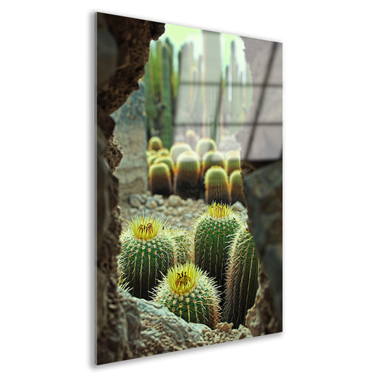 Cactussen in bloei achter rotsformatie acrylglas