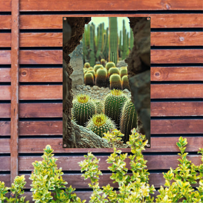 Cactussen in bloei achter rotsformatie tuinposter