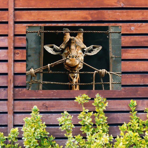 Nieuwsgierige Giraffe tuinposter