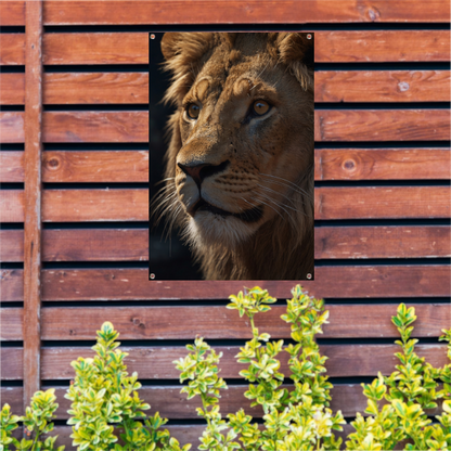 Close-up van leeuw met indringende blik tuinposter