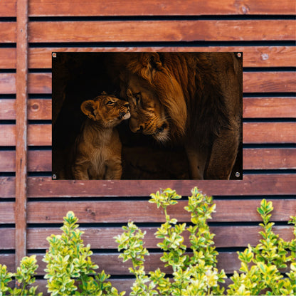 Intieme ontmoeting tussen leeuw en welp tuinposter