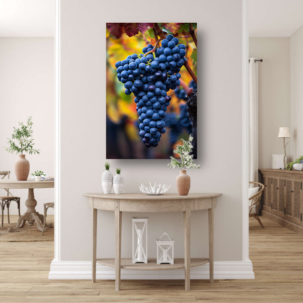 Blauwe druiven aan wijnrank in herfstlicht canvas met baklijst