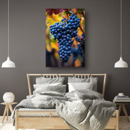 Blauwe druiven aan wijnrank in herfstlicht canvas met baklijst