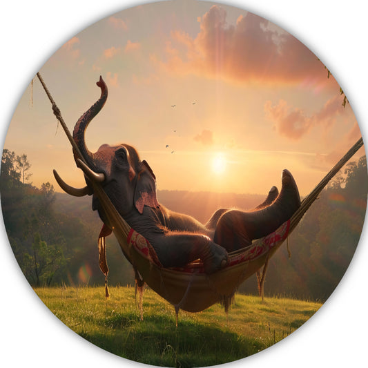 Olifant in een hangmat tijdens zonsondergang aluminium muurcirkel