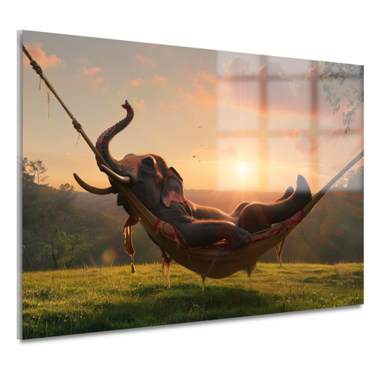 Olifant in een hangmat tijdens zonsondergang acrylglas