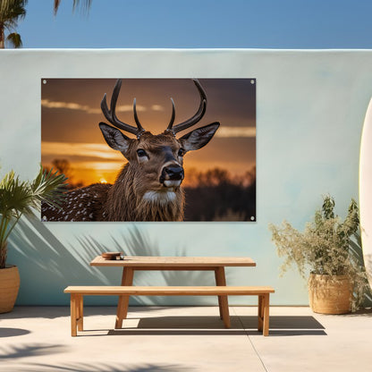 Majestueus hert bij een prachtige zonsondergang tuinposter