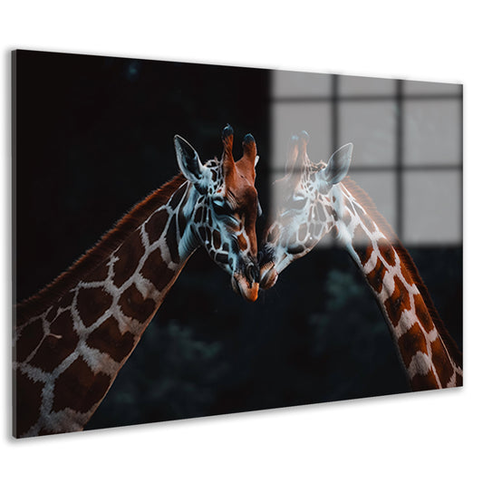 Twee giraffen in een intiem moment acrylglas