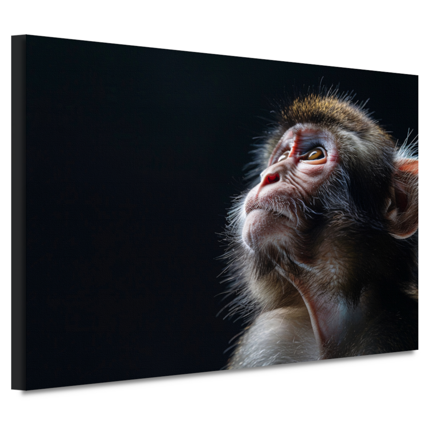Reflecterende aap in donkere achtergrond canvas
