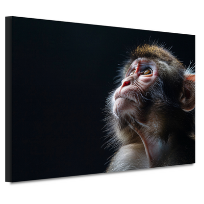 Reflecterende aap in donkere achtergrond canvas