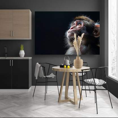 Reflecterende aap in donkere achtergrond canvas