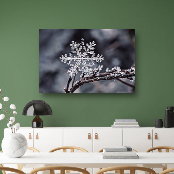 Macro opname van een enkele sneeuwvlok   canvas