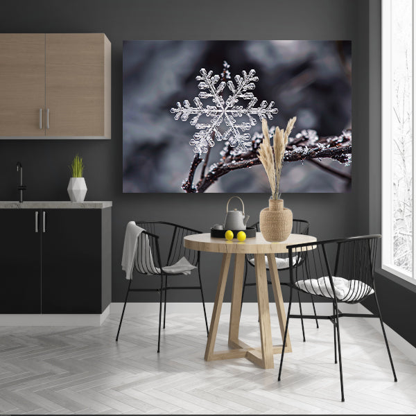 Macro opname van een enkele sneeuwvlok   canvas