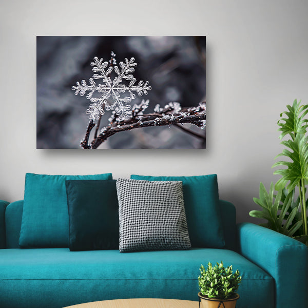 Macro opname van een enkele sneeuwvlok   canvas