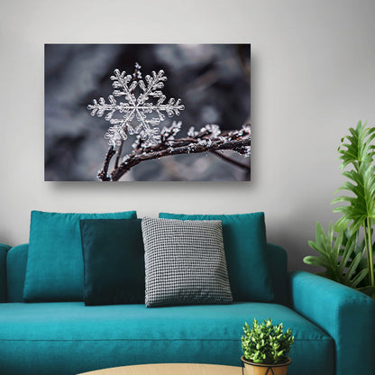 Macro opname van een enkele sneeuwvlok   canvas