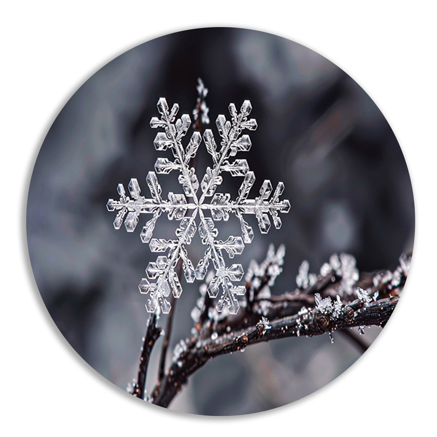Macro opname van een enkele sneeuwvlok   forex muurcirkel