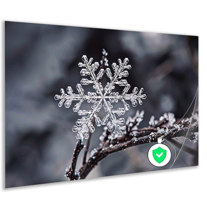 Macro opname van een enkele sneeuwvlok   poster
