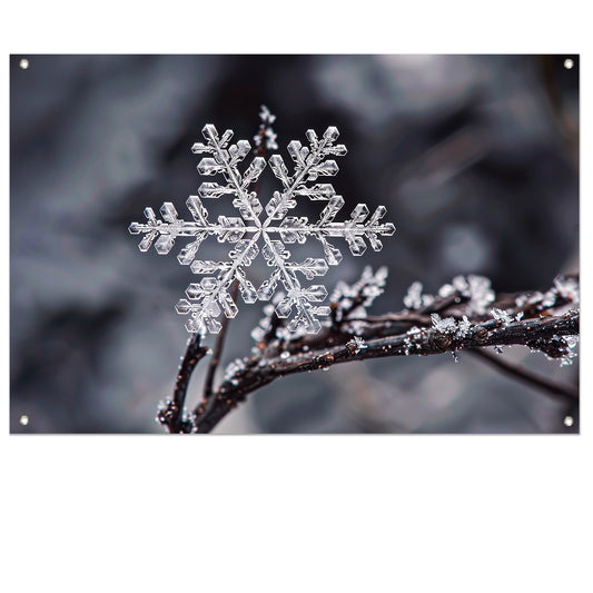 Macro opname van een enkele sneeuwvlok   tuinposter