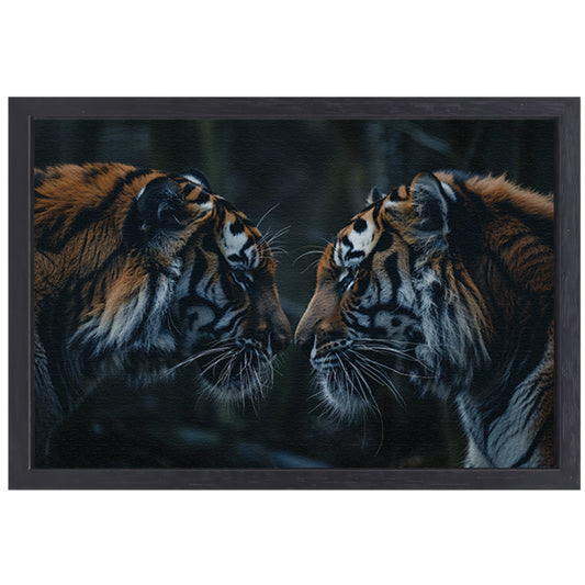 Twee tijgers in donker bos tegenover elkaar canvas met baklijst