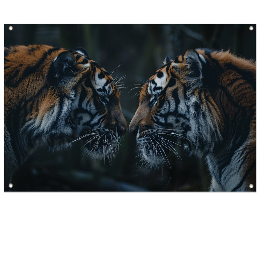 Twee tijgers in donker bos tegenover elkaar tuinposter