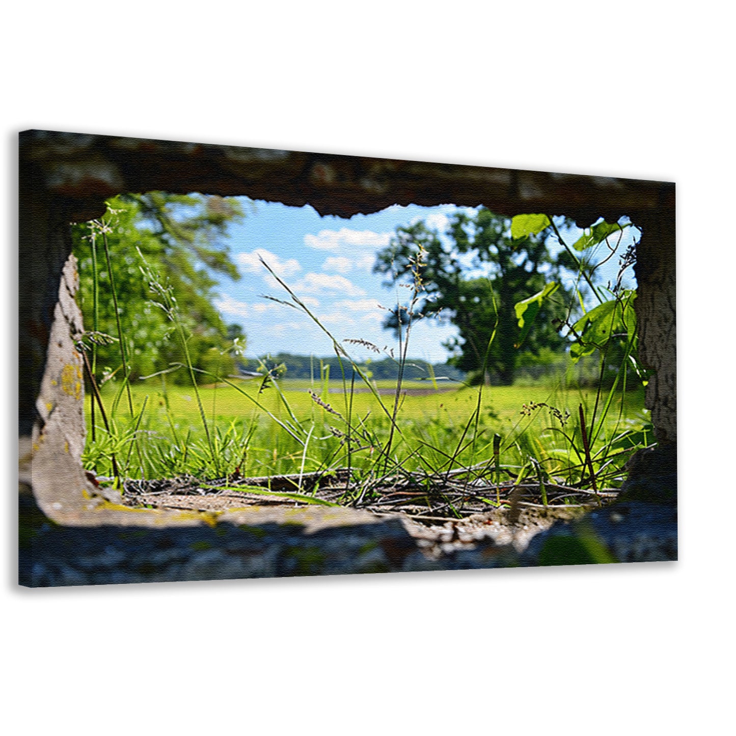 Natuurlandschap door betonnen raam canvas