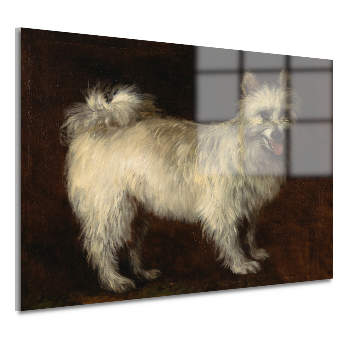 Spits Hond - Thomas Gainsborough acrylglas