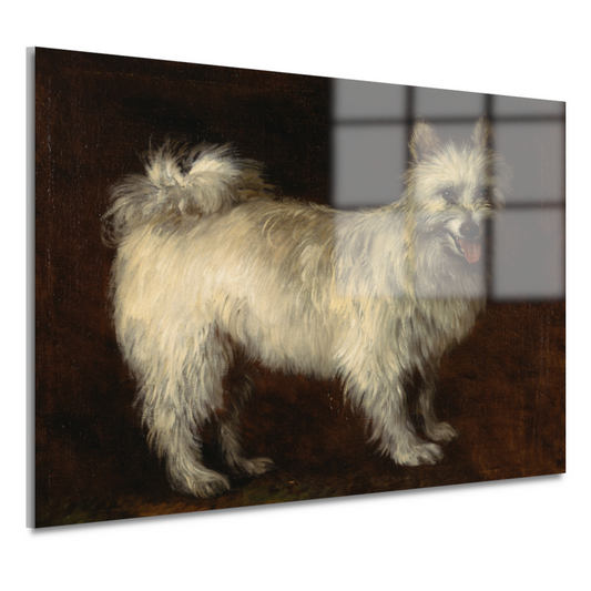 Spits Hond - Thomas Gainsborough acrylglas
