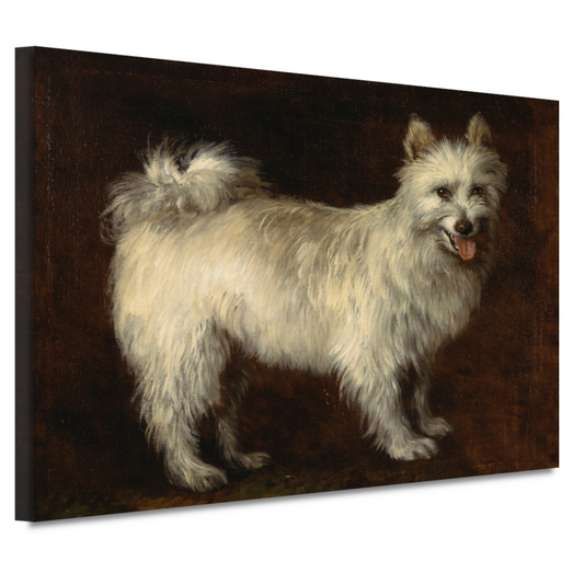 Spits Hond - Thomas Gainsborough canvas