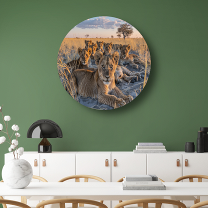 Leeuwenwelpen Knuffelen in het Gras aluminium muurcirkel