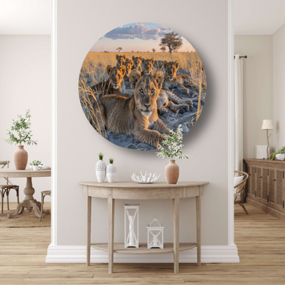 Leeuwenwelpen Knuffelen in het Gras aluminium muurcirkel