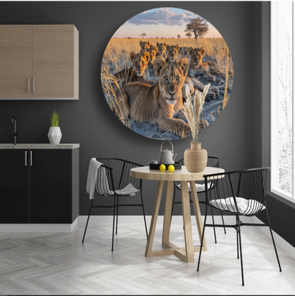 Leeuwenwelpen Knuffelen in het Gras aluminium muurcirkel