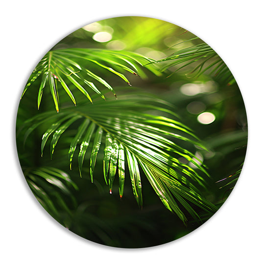 Close-up van zonovergoten palmbladeren forex muurcirkel
