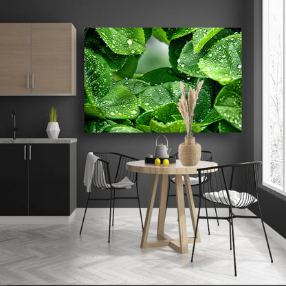 Close-up van groene bladeren met dauwdruppels canvas