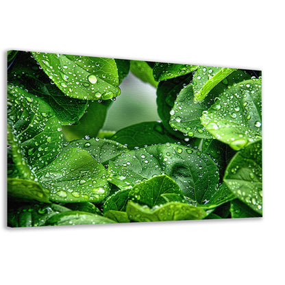 Close-up van groene bladeren met dauwdruppels canvas
