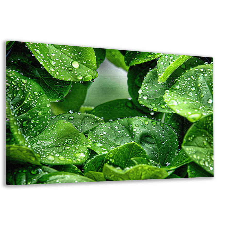 Close-up van groene bladeren met dauwdruppels canvas