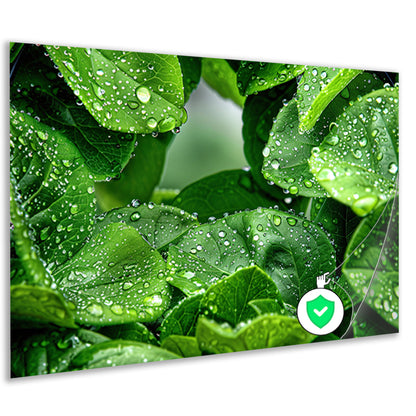 Close-up van groene bladeren met dauwdruppelsposter