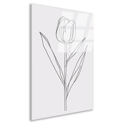 Eenvoudige tulplijntekening voor moderne inrichting acrylglas