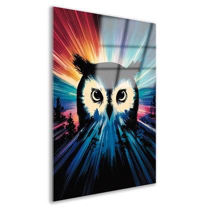 Kleurrijke uil met dynamische achtergrond acrylglas
