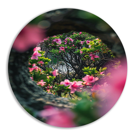 Roze bloemen door boomvenster aluminium muurcirkel