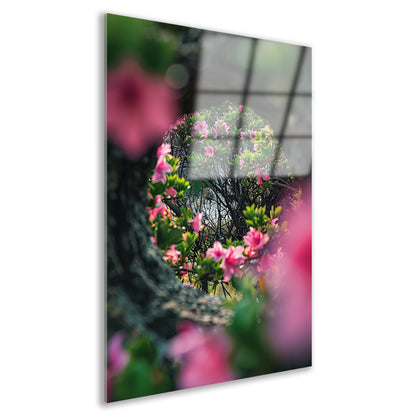 Roze bloemen door boomvenster acrylglas