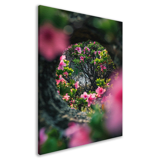 Roze bloemen door boomvenster canvas