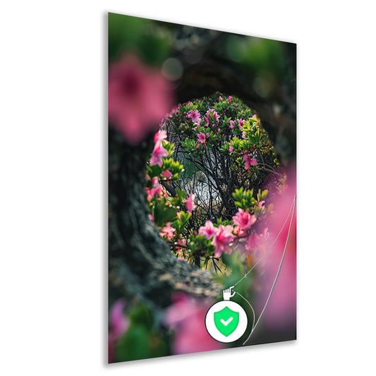 Roze bloemen door boomvenster poster