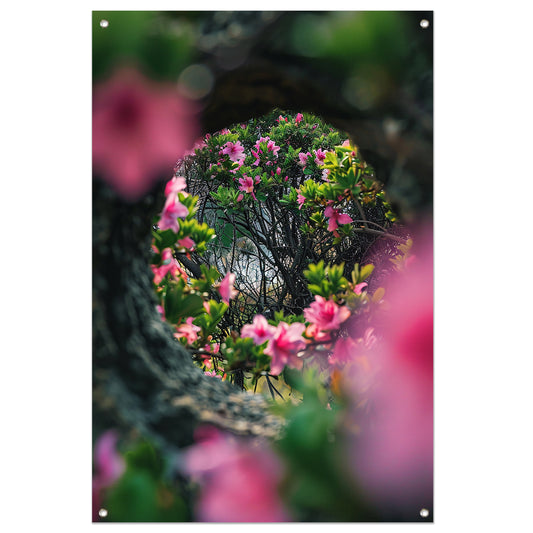 Roze bloemen door boomvenster tuinposter