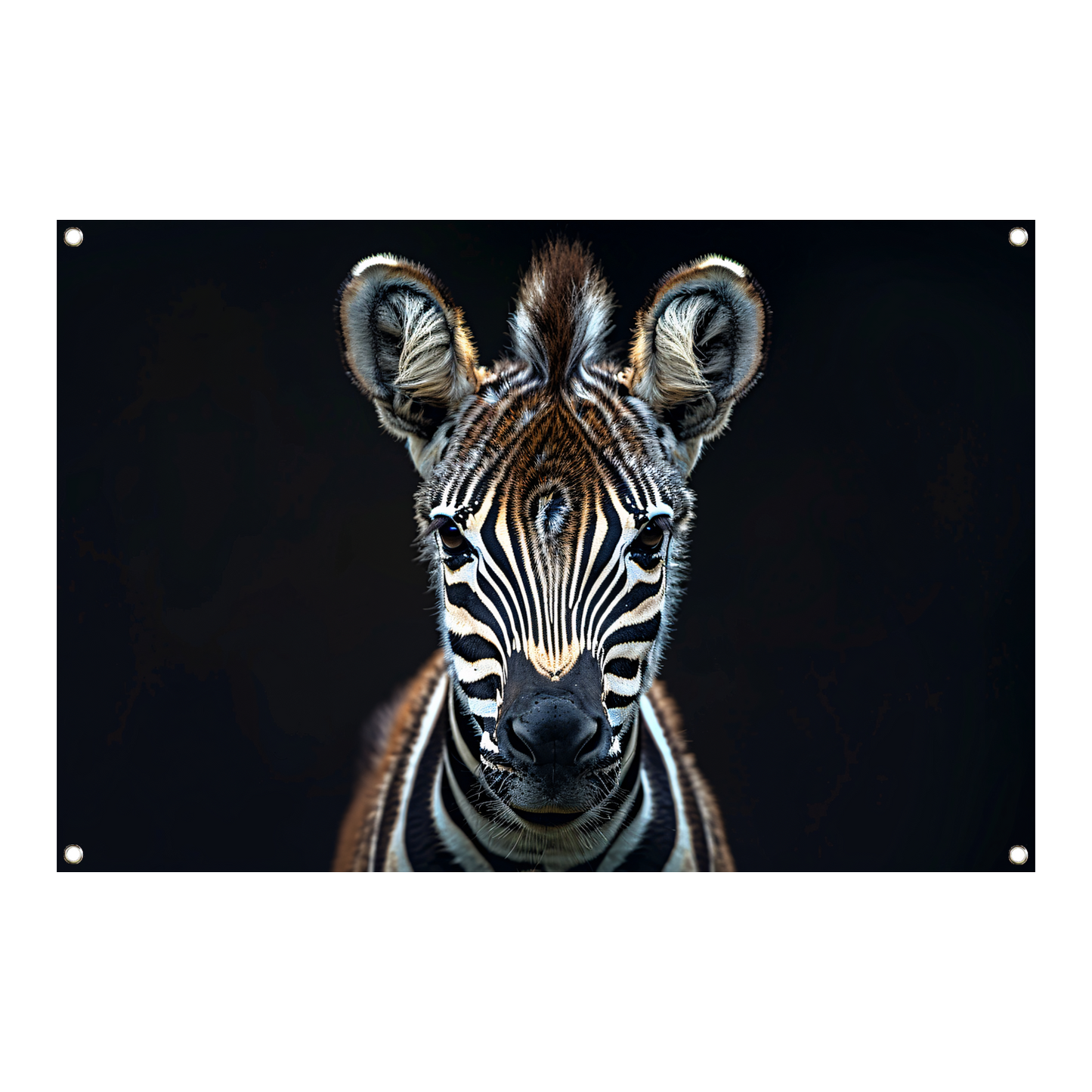 Intieme close-up van een zebra tuinposter