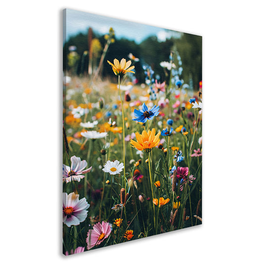 Kleurrijke Bloemenweide in de Zomerzon canvas
