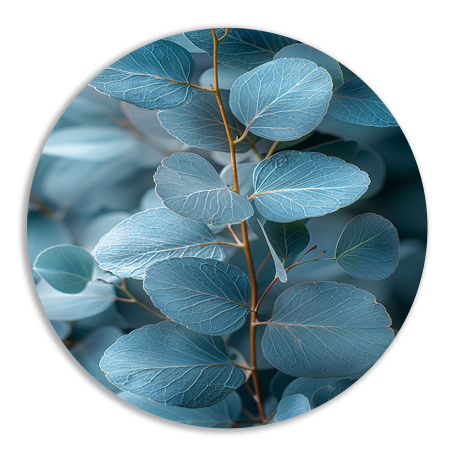 Minimalistische Weergave van Blauwe Eucalyptus Bladeren aluminium muurcirkel