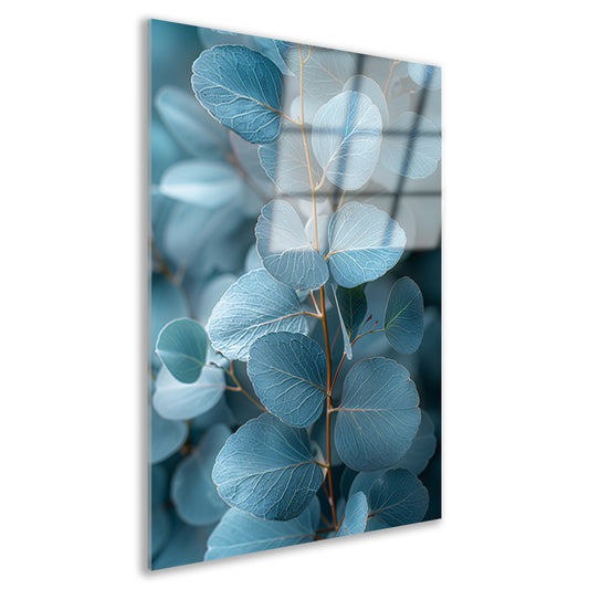 Minimalistische Weergave van Blauwe Eucalyptus Bladeren acrylglas