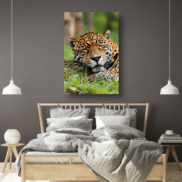 Slapende jaguar op gras schilderij poster