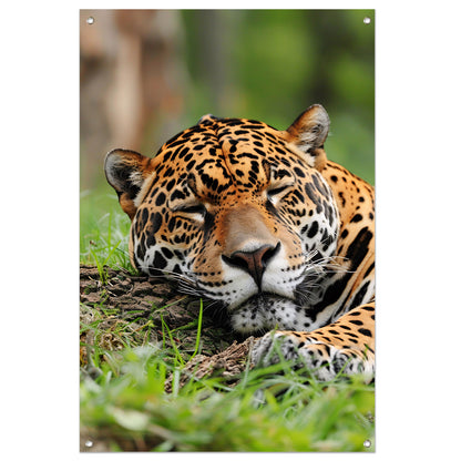 Slapende jaguar op gras schilderij tuinposter