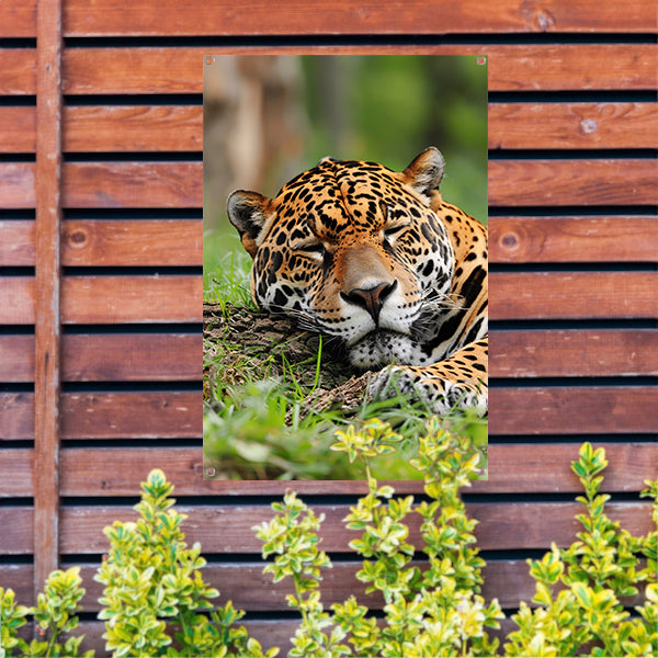 Slapende jaguar op gras schilderij tuinposter